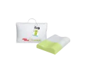 Aloe Anatomic